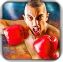 拳击游戏2016手机版(Play Boxing Games 2016) v1.3 官方版