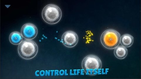 细菌起源2小游戏v1.4