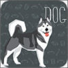 宠物狗交流器免费版(社交娱乐) v1.1.2 最新版