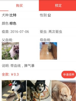 领狗狗最新版界面