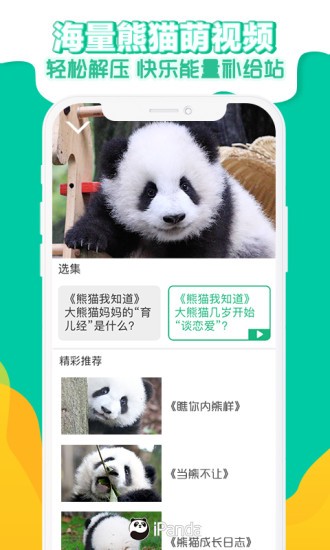 熊猫频道app下载2.2.3 安卓手机版