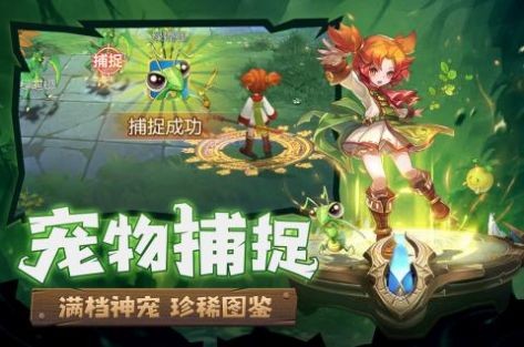 魔力宝贝归来之黑白龙城v