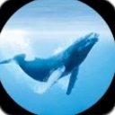海豚root助手app安卓版(一键获取root权限) v1.4 免费版