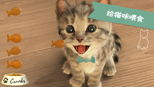 little kitten我最喜爱的猫猫iOS版v1.8