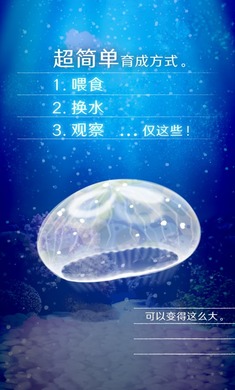 养育水母的治愈游戏汉化版v4.6