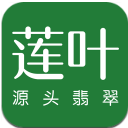 莲叶翡翠安卓版(翡翠购物app) v2.3.4 最新版