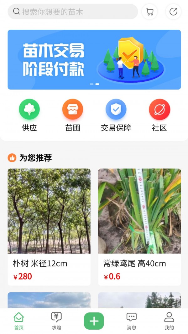 苗青青v1.3.0