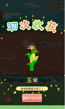 巨无霸大头菜