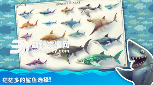 饥饿鲨世界安卓免费版