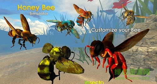 蜜蜂模拟器3Dv1.3