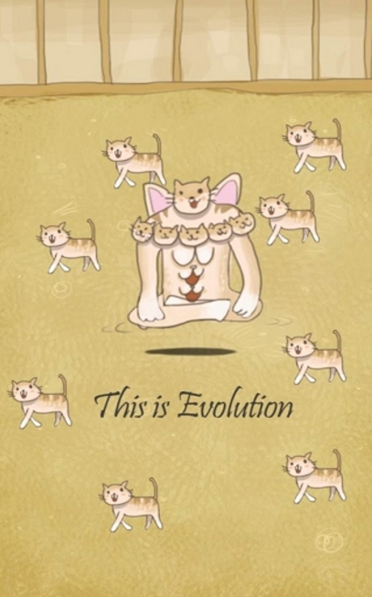 小猫进化大派对最新版特色