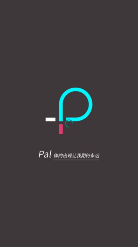 Palv1.3