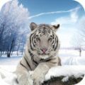 北极虎模拟最新版(生活休闲) v1.2 安卓版