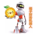 橘子牛牛机器人免授权码版(橘子财务机器人) v1.3 最新版