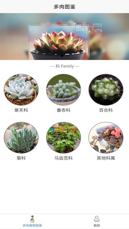 嘟嘟多肉植物鉴v1.1