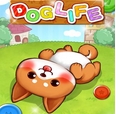 狗的生活安卓版(消除类手机游戏) v1.7.2 免费版