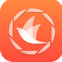 飞鸟浏览器APP最新版(无广告浏览) v1.4.5 安卓版