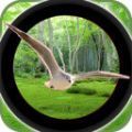 森林鸟狩猎手游v1.1