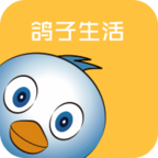 鸽子生活最新版(生活休闲) v1.2 安卓版