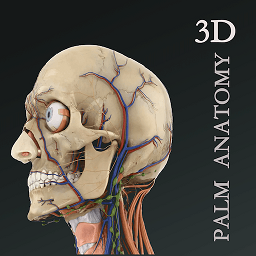 掌上3d解剖v2.3.1 安卓版