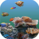 3D海底世界动态壁纸apk手机版(桌面美化) v6.8 安卓版