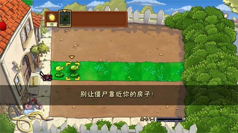 植物大戰僵屍中國館隨機植物v2024.05.01202406