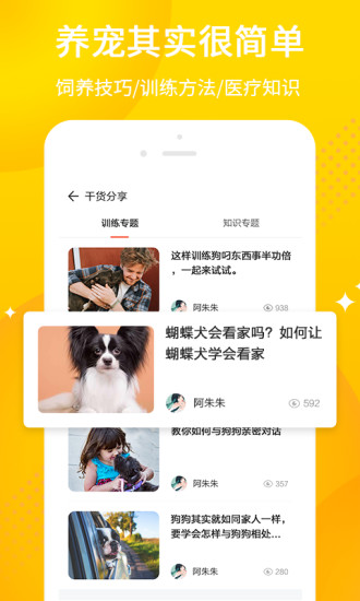 犬易app4.2.4