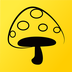 蘑菇丁最新版(社交聊天) v3.3.7 安卓版