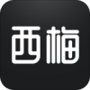西梅新闻最新版(生活休闲) v1.2.6 安卓版