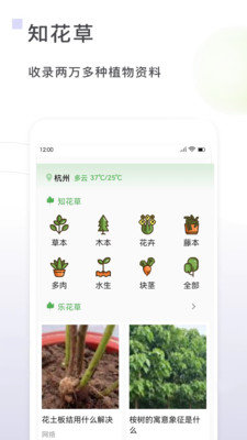 一花草1.0.2