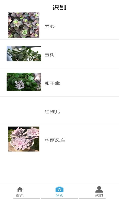 植物图鉴appv1.3