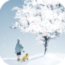 忘雪v1.0.1