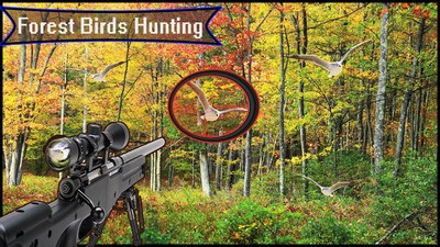 森林鸟狩猎v1.1