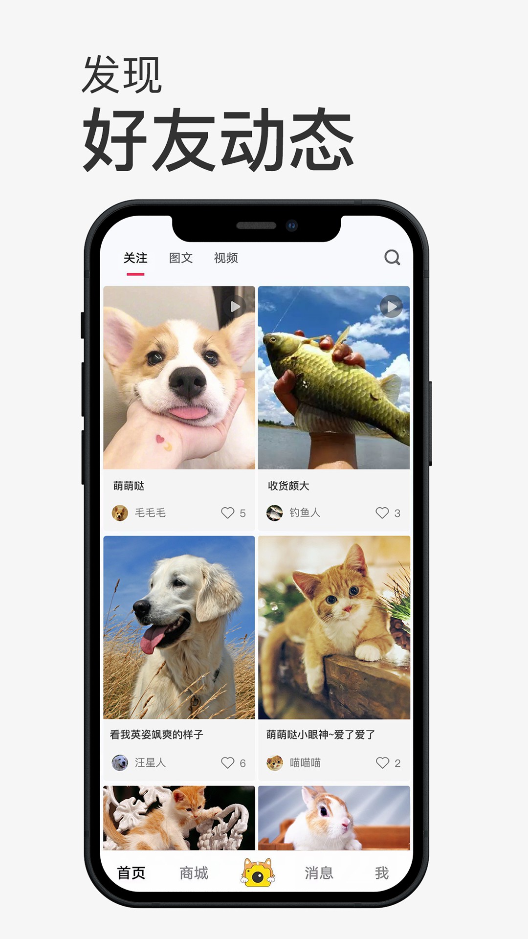 小宠书app1.2.2