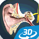 耳朵和听力机制互动教育3D安卓版(3D互动式教育) v1.6.0 手机版