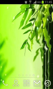 绿竹动态壁纸主题v2.5