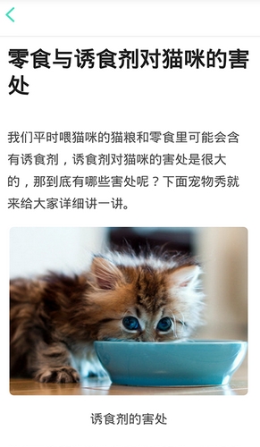 猫咪管家手机客户端截图