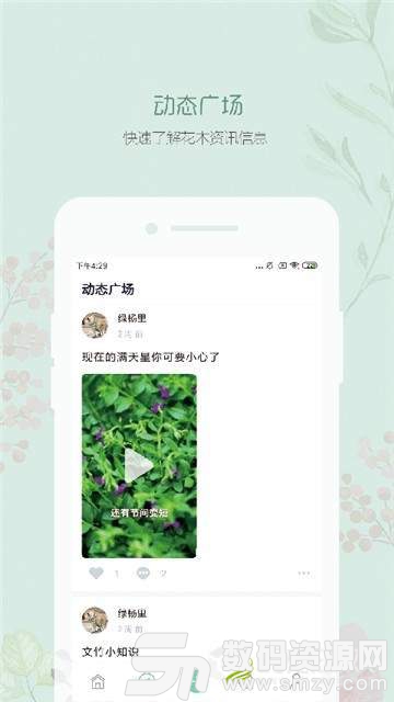 懂花木手机版