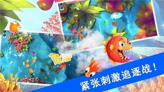 鯊魚風暴遊戲v1.3.5