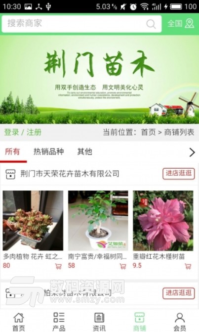 荆门苗木介绍