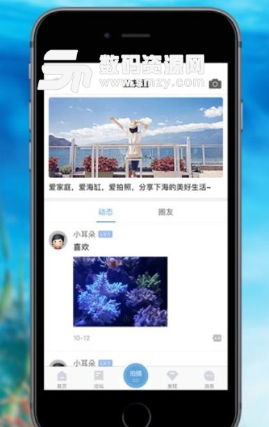 海精灵海水鱼论坛app下载
