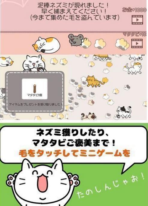 毛团猫太郎安卓版