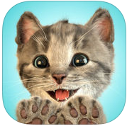 little kitten我最喜爱的猫猫iOS版v1.8