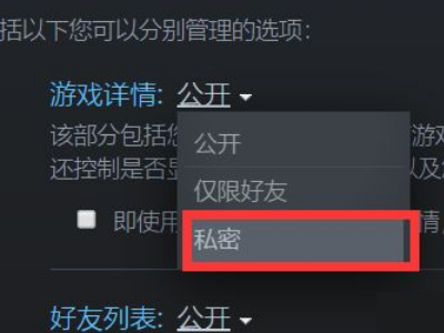 Steam如何隱藏個人遊戲動態？