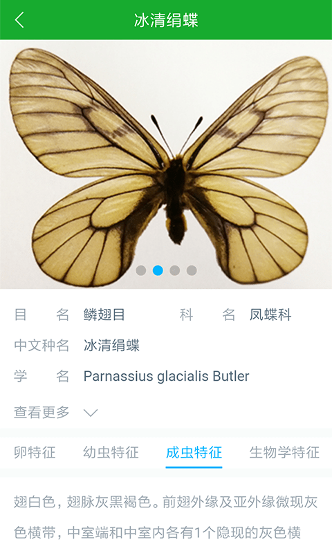 虫警app2.5.6