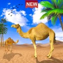沙漠骆驼模拟器v1.3