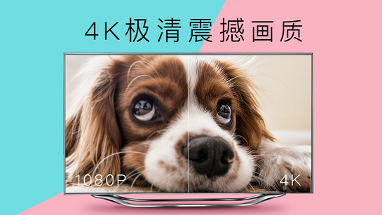 4K花园v3.7.3.9