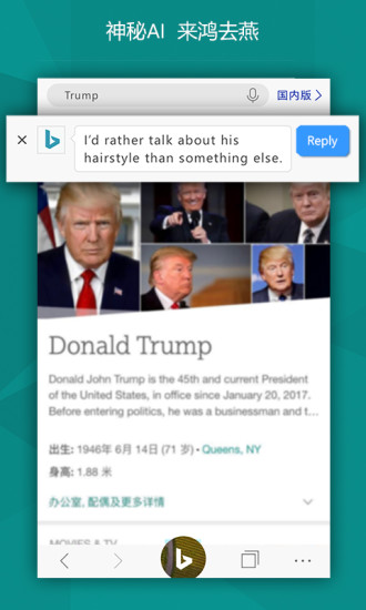 微软bing搜索国际版v6.12.0