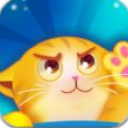猫猫做果冻游戏安卓版(创新乐趣丰富关卡) v1.4 手机版