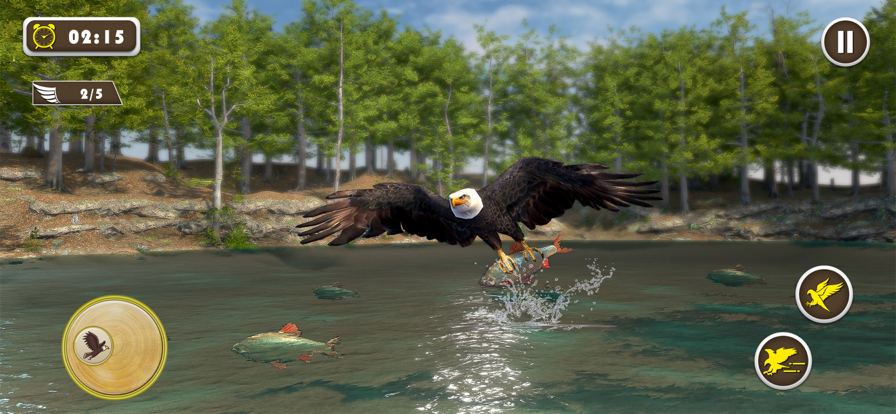 宠物美国鹰生活模拟3Dv1.0